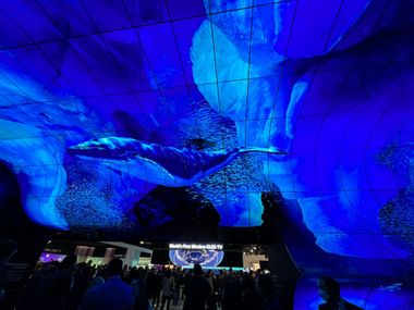 CES2023 개막! 씨능(CES능력시험)으로 정복하자