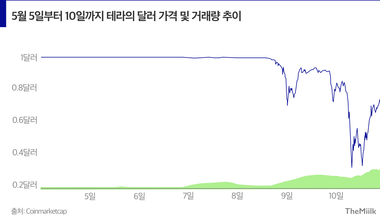 "하루아침에 휴지됐다"... 스테이블 코인은 왜 붕괴됐나?