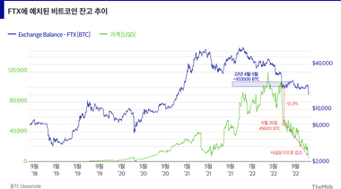 ‘체인은 알고 있었다’… FTX-알라메다, 자금 흐름 분석