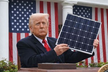 트럼프가 막아도 태양광이 이기는 이유: AI가 바꾼 에너지 질서