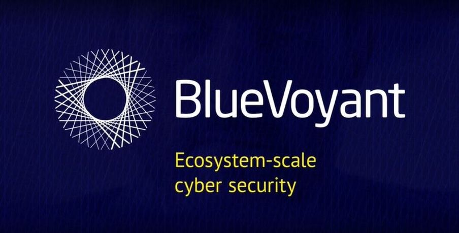 내외부 사이버 위협  한눈에 해결 : 블루보얀트