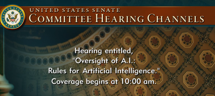 미 의회, 독립 AI 규제 기관 추진한다... 청문회서 논의 돼